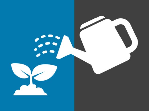 watering can nurturing a seedling on grey and blue background representing BizEquals' accelerators and incubators industry members 