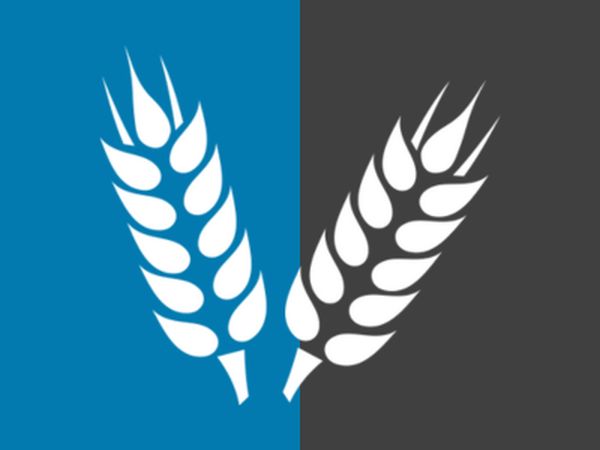 wheat sheafs on grey and blue background representing BizEquals' agriculture industry members 
